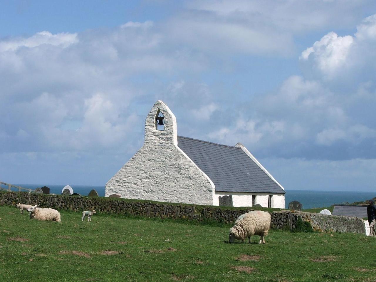 Y Caban At Wig Farm Near Llangrannog Villa Llandysul Exterior photo